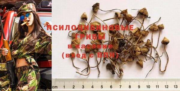 тгк Апатиты