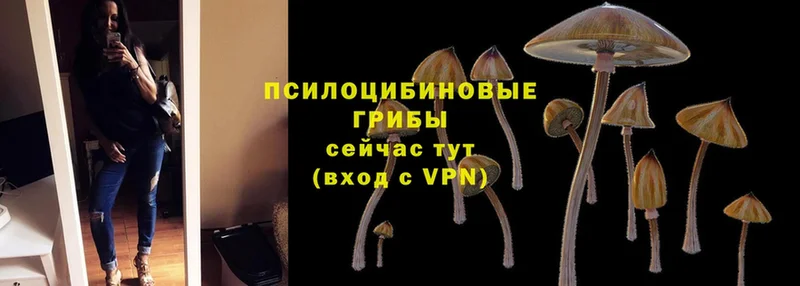 Галлюциногенные грибы Magic Shrooms  Наволоки 