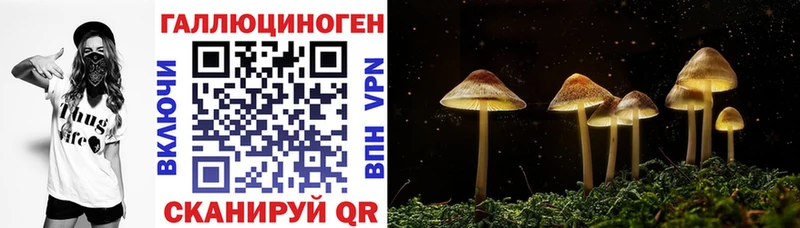 магазин продажи наркотиков  Наволоки  Псилоцибиновые грибы MAGIC MUSHROOMS 