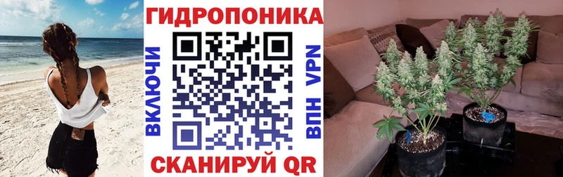 Бошки Шишки LSD WEED  продажа наркотиков  darknet какой сайт  Наволоки 